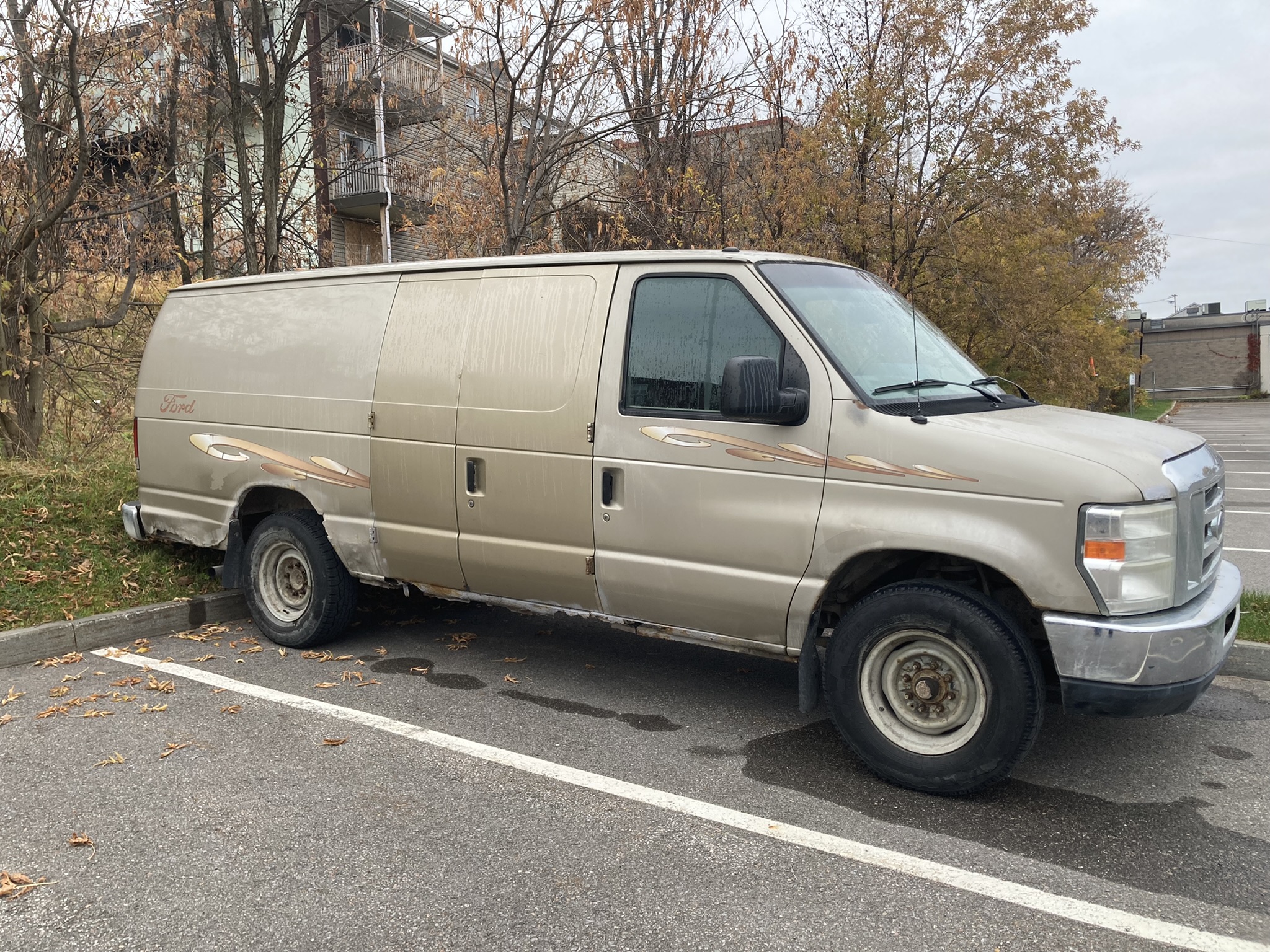 FORD ECONOLINE 2010